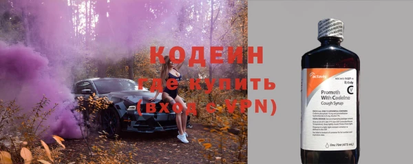 крисы Баксан