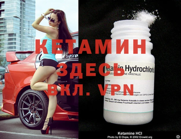 крисы Баксан