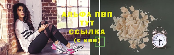 крисы Баксан