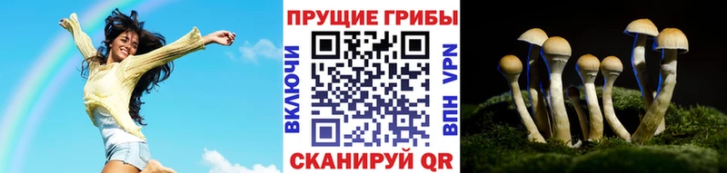 hydra вход  сайты даркнета состав  Псилоцибиновые грибы мицелий  даркнет сайт  Уржум 